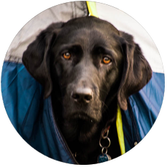 Jenny 2021 Legal Team Edmonton